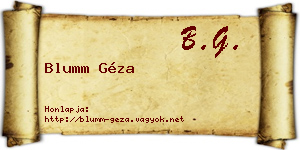 Blumm Géza névjegykártya